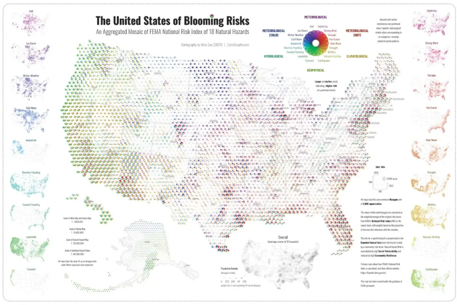 The United States of Blooming Risks