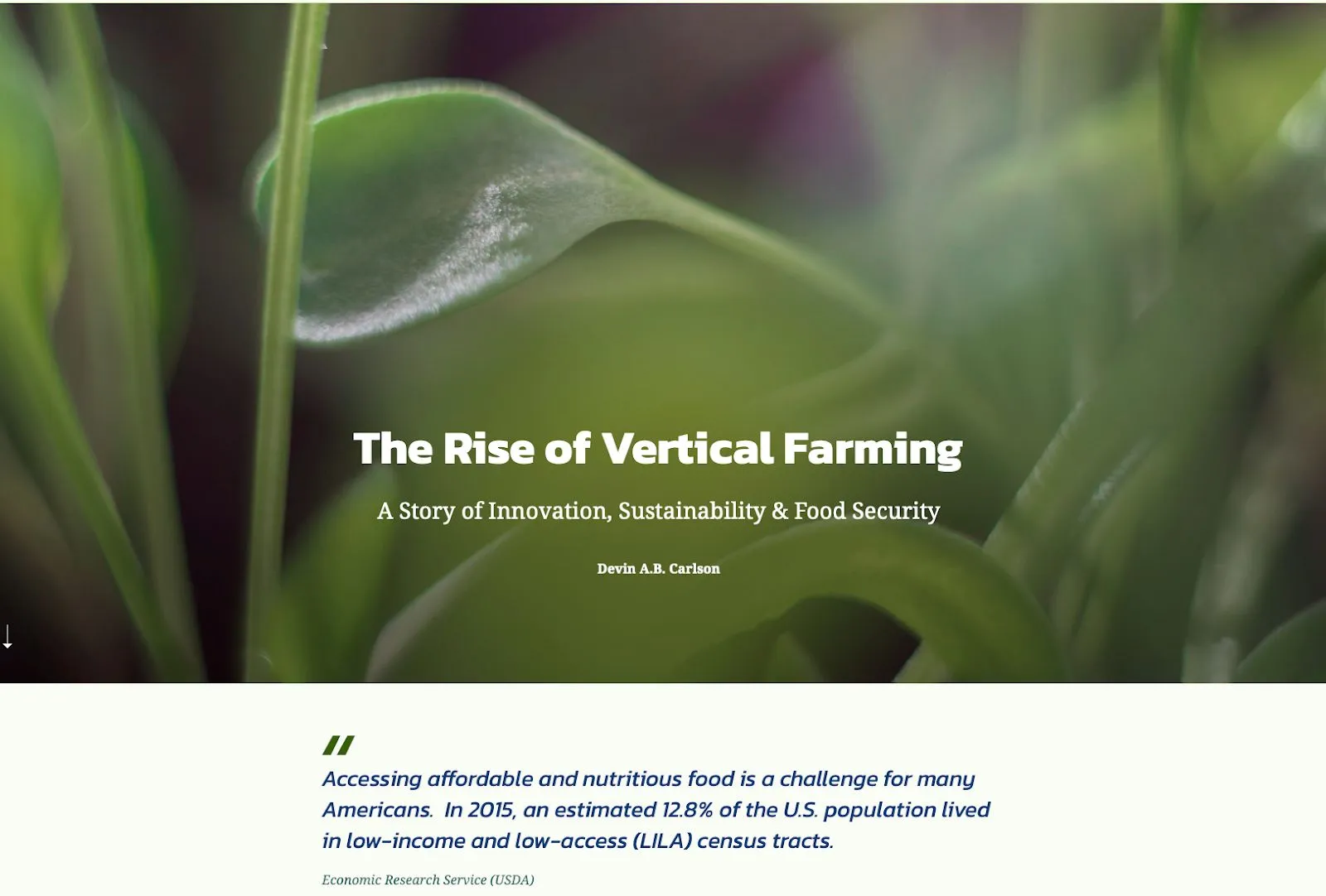 The Rise of Vertical Farming